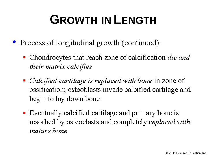 GROWTH IN LENGTH • Process of longitudinal growth (continued): § Chondrocytes that reach zone