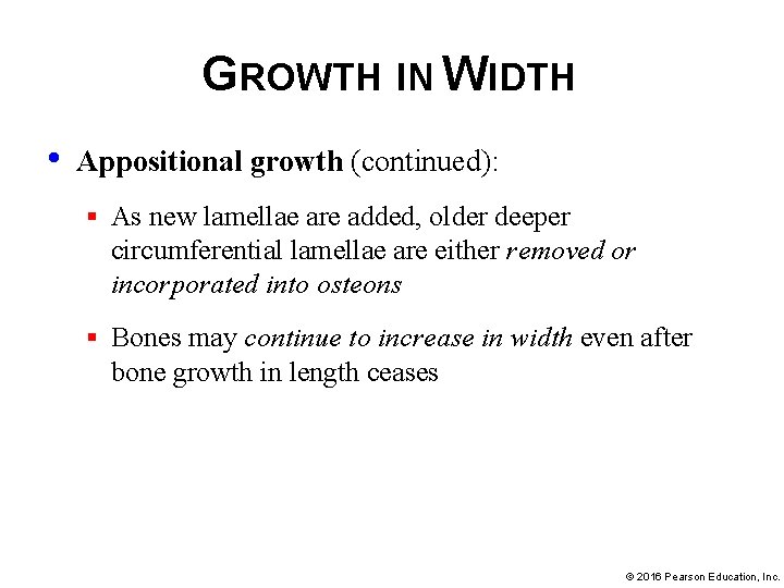 GROWTH IN WIDTH • Appositional growth (continued): § As new lamellae are added, older