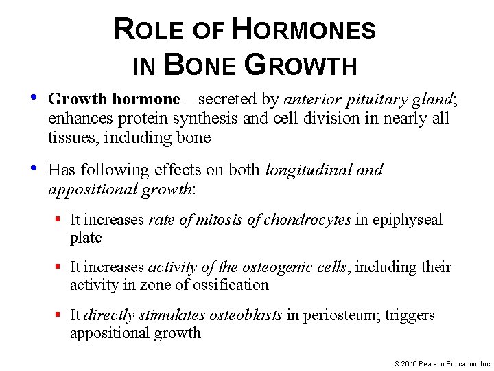 ROLE OF HORMONES IN BONE GROWTH • Growth hormone – secreted by anterior pituitary