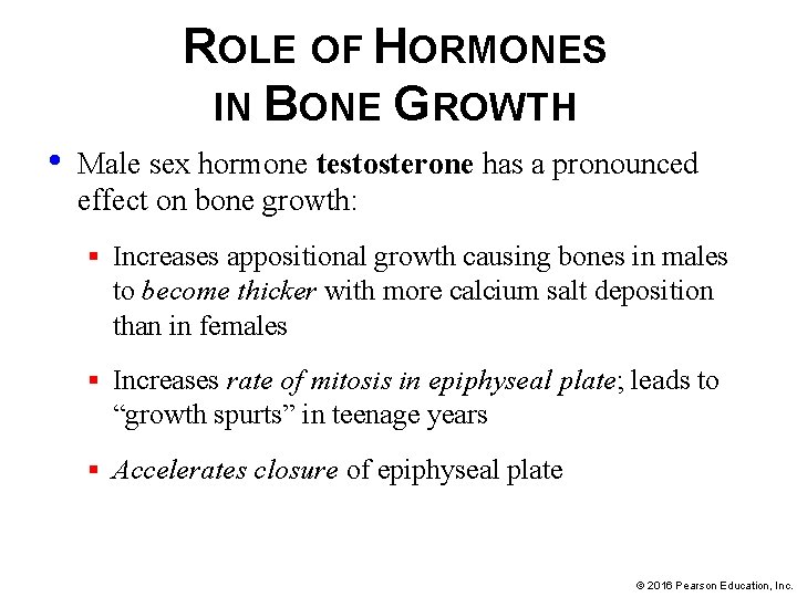 ROLE OF HORMONES IN BONE GROWTH • Male sex hormone testosterone has a pronounced