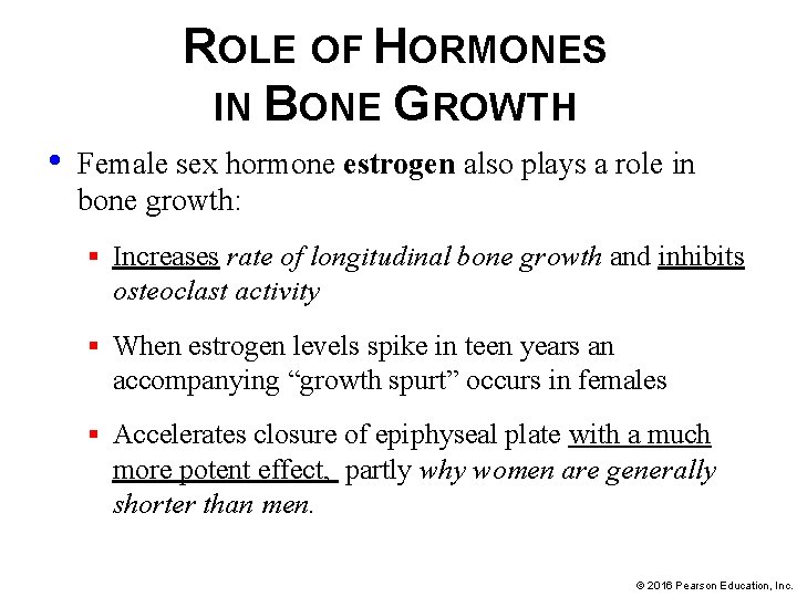 ROLE OF HORMONES IN BONE GROWTH • Female sex hormone estrogen also plays a