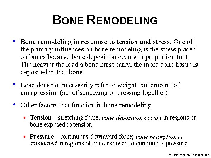 BONE REMODELING • Bone remodeling in response to tension and stress: One of the