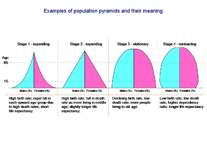 Examples of population pyramids and their meaning 