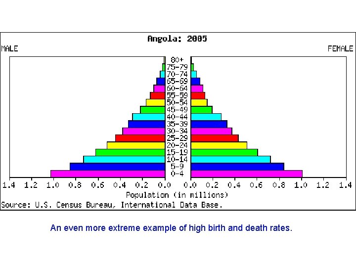 An even more extreme example of high birth and death rates. 