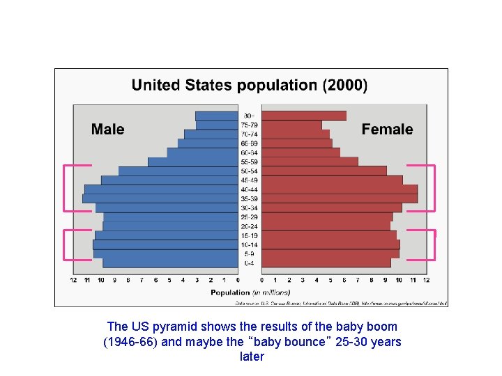 The US pyramid shows the results of the baby boom (1946 -66) and maybe