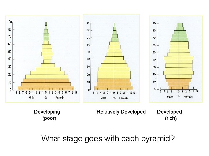 Developing (poor) Relatively Developed (rich) What stage goes with each pyramid? 