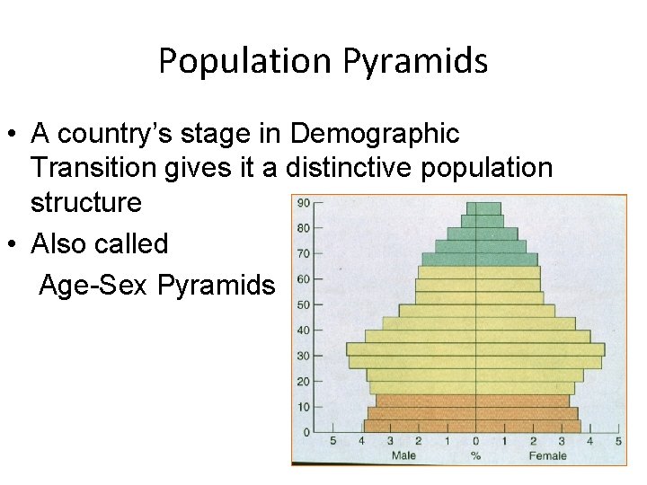 Population Pyramids • A country’s stage in Demographic Transition gives it a distinctive population