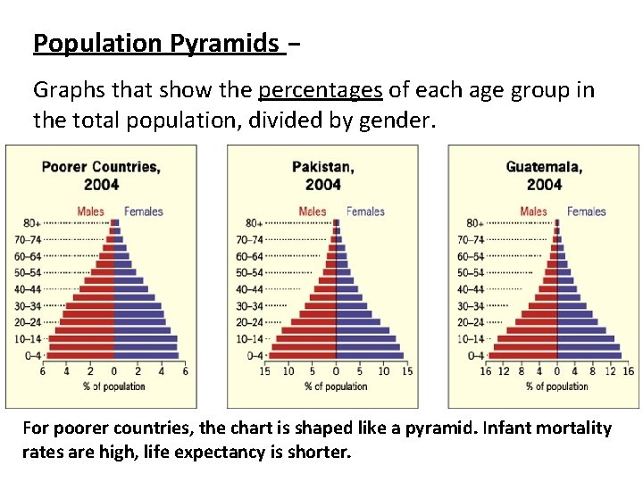 Population Pyramids – Graphs that show the percentages of each age group in the