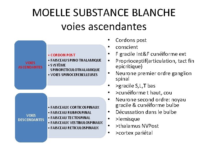 MOELLE SUBSTANCE BLANCHE voies ascendantes VOIES ASCENDANTES • CORDON POST • FAISCEAU SPINO THALAMIQUE