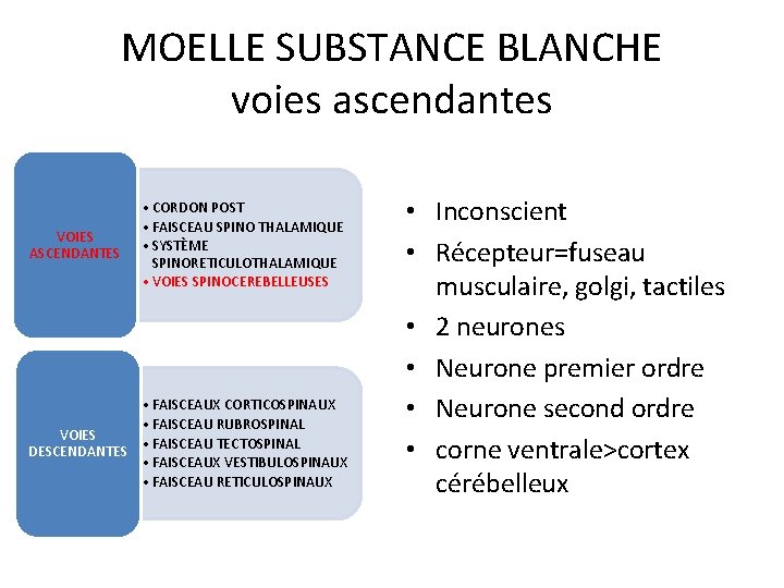 MOELLE SUBSTANCE BLANCHE voies ascendantes VOIES ASCENDANTES • CORDON POST • FAISCEAU SPINO THALAMIQUE