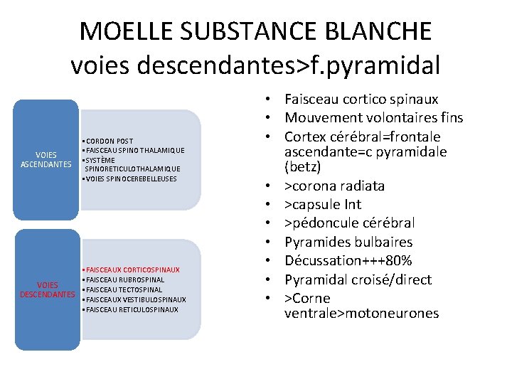 MOELLE SUBSTANCE BLANCHE voies descendantes>f. pyramidal VOIES ASCENDANTES • CORDON POST • FAISCEAU SPINO