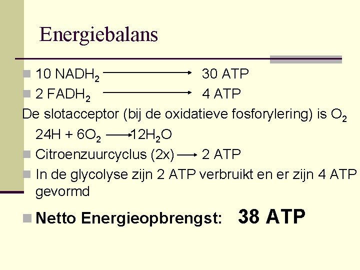 Energiebalans n 10 NADH 2 30 ATP n 2 FADH 2 4 ATP De