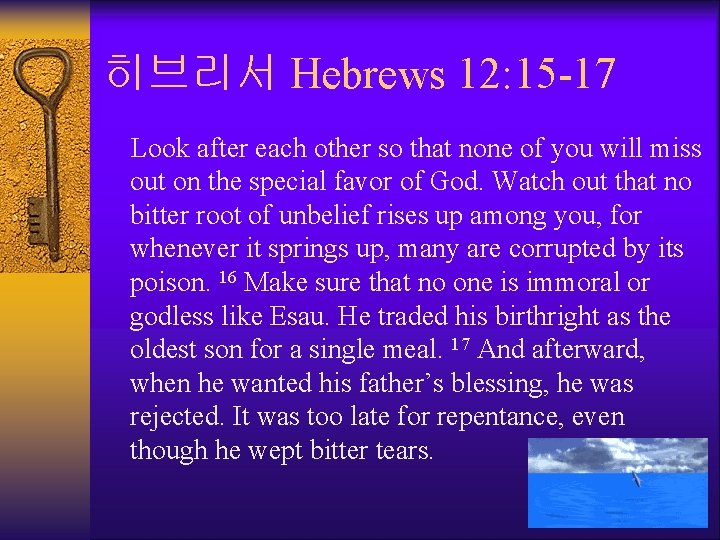 히브리서 Hebrews 12: 15 -17 Look after each other so that none of you