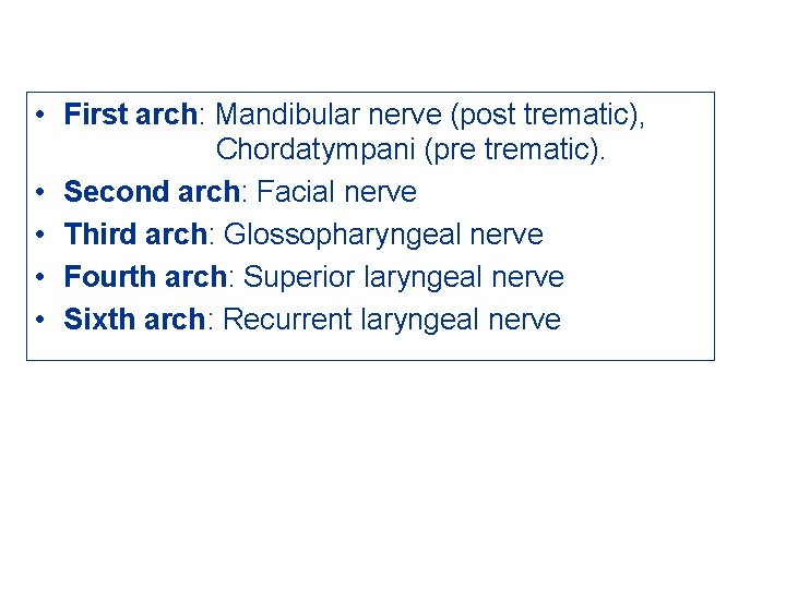  • First arch: Mandibular nerve (post trematic), Chordatympani (pre trematic). • Second arch: