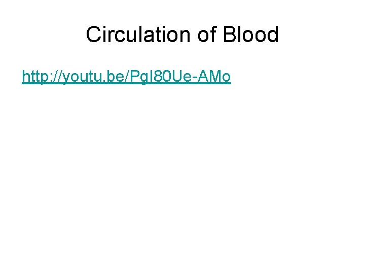 Circulation of Blood http: //youtu. be/Pg. I 80 Ue-AMo 