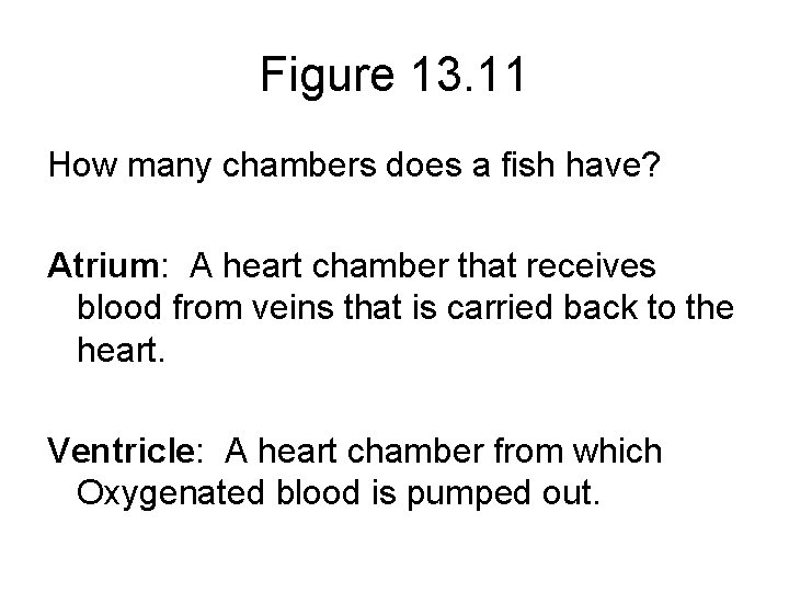 Figure 13. 11 How many chambers does a fish have? Atrium: A heart chamber