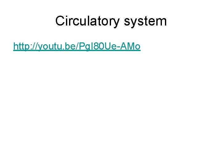 Circulatory system http: //youtu. be/Pg. I 80 Ue-AMo 