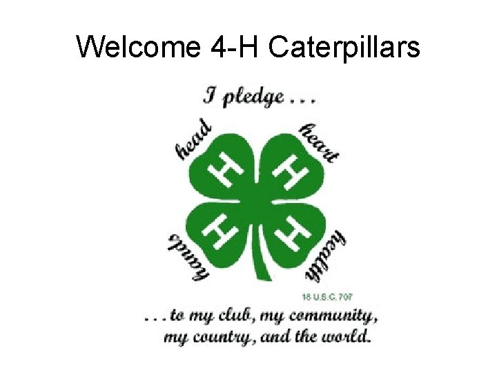 Welcome 4 -H Caterpillars 