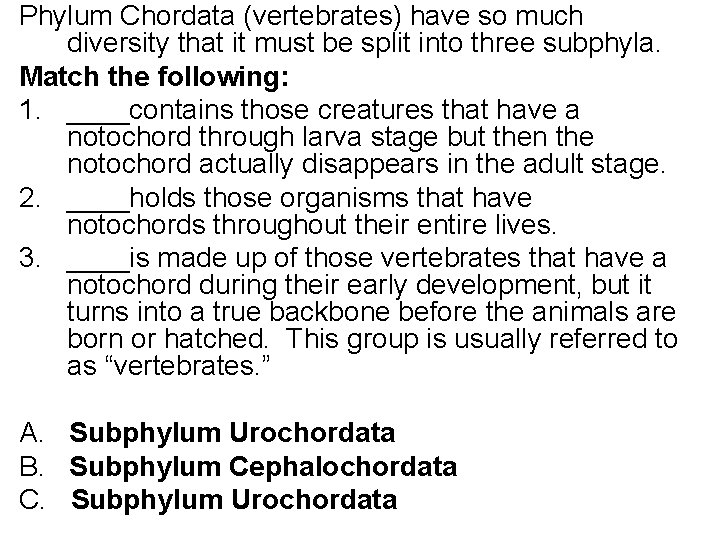 Phylum Chordata (vertebrates) have so much diversity that it must be split into three