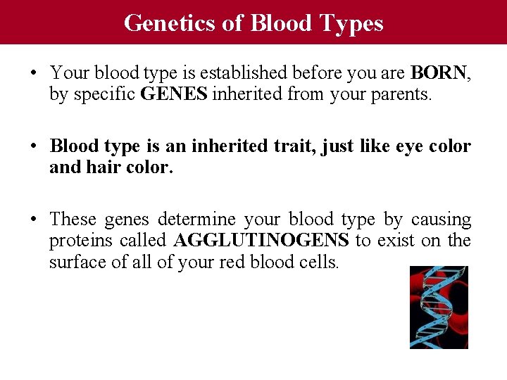 Genetics of Blood Types • Your blood type is established before you are BORN,