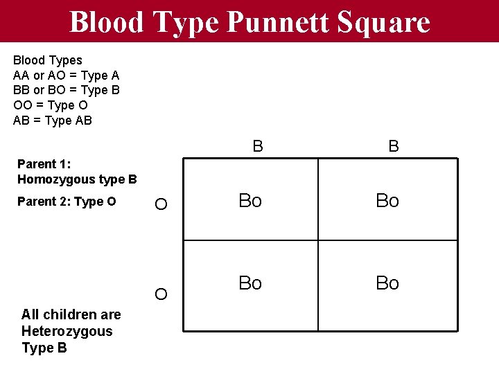 Blood Type Punnett Square Blood Types AA or AO = Type A BB or