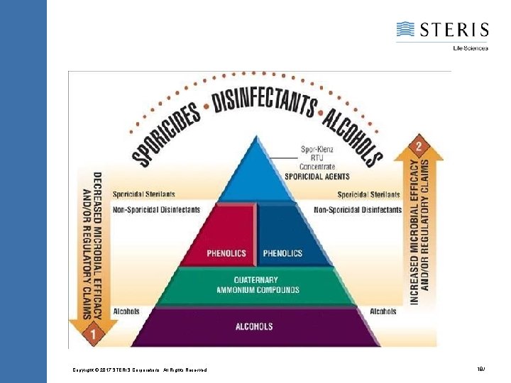 Copyright © 2017 STERIS Corporations. All Rights Reserved. 18/ 