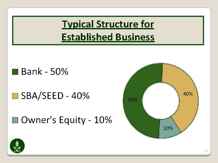 Typical Structure for Established Business 27 
