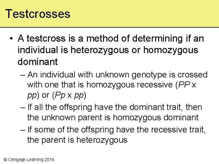 Testcrosses • A testcross is a method of determining if an individual is heterozygous