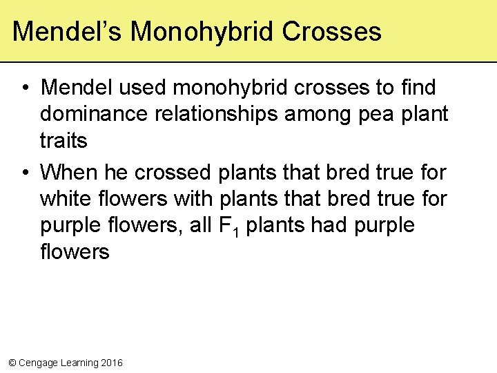 Mendel’s Monohybrid Crosses • Mendel used monohybrid crosses to find dominance relationships among pea