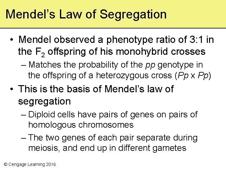 Mendel’s Law of Segregation • Mendel observed a phenotype ratio of 3: 1 in