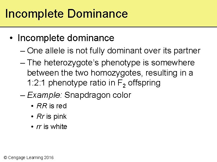 Incomplete Dominance • Incomplete dominance – One allele is not fully dominant over its