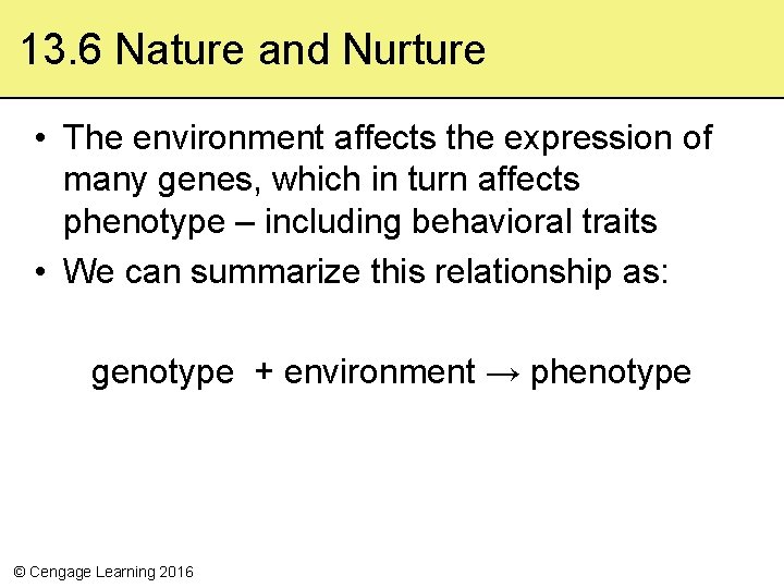 13. 6 Nature and Nurture • The environment affects the expression of many genes,