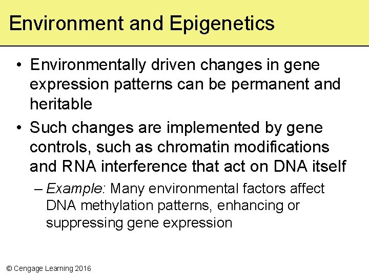 Environment and Epigenetics • Environmentally driven changes in gene expression patterns can be permanent