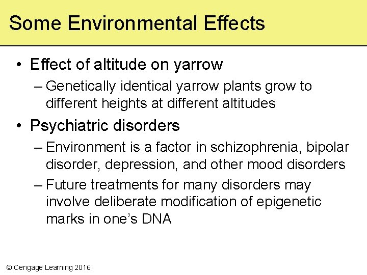 Some Environmental Effects • Effect of altitude on yarrow – Genetically identical yarrow plants