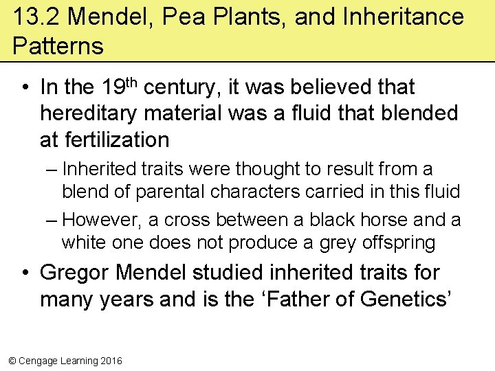 13. 2 Mendel, Pea Plants, and Inheritance Patterns • In the 19 th century,