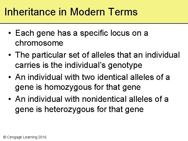 Inheritance in Modern Terms • Each gene has a specific locus on a chromosome