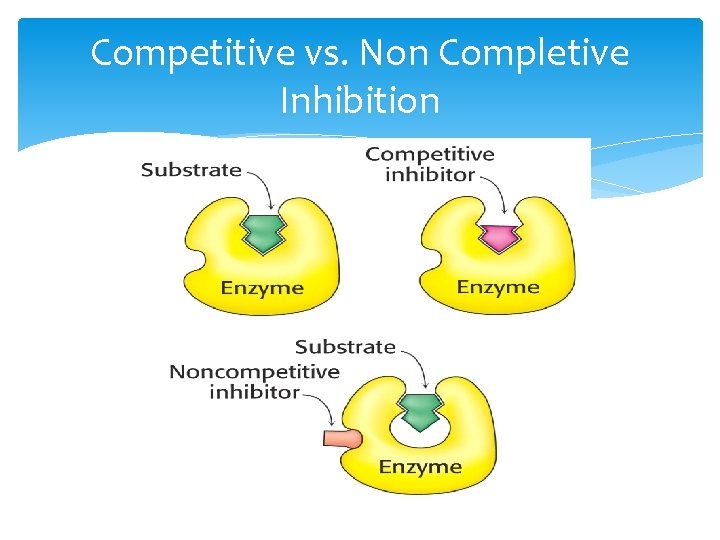 Competitive vs. Non Completive Inhibition 