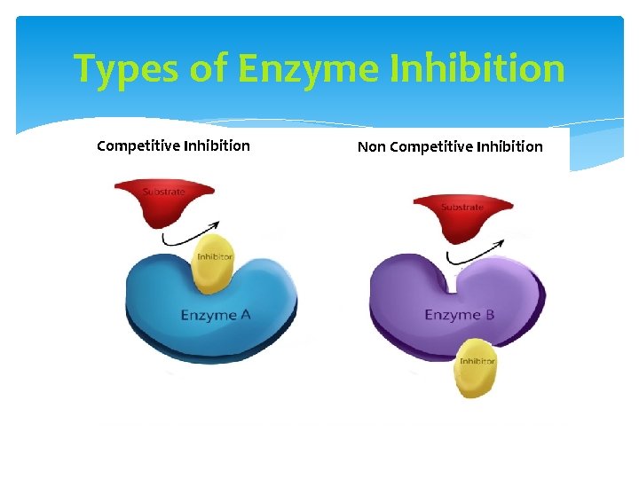Types of Enzyme Inhibition Competitive Inhibition Non Competitive Inhibition 