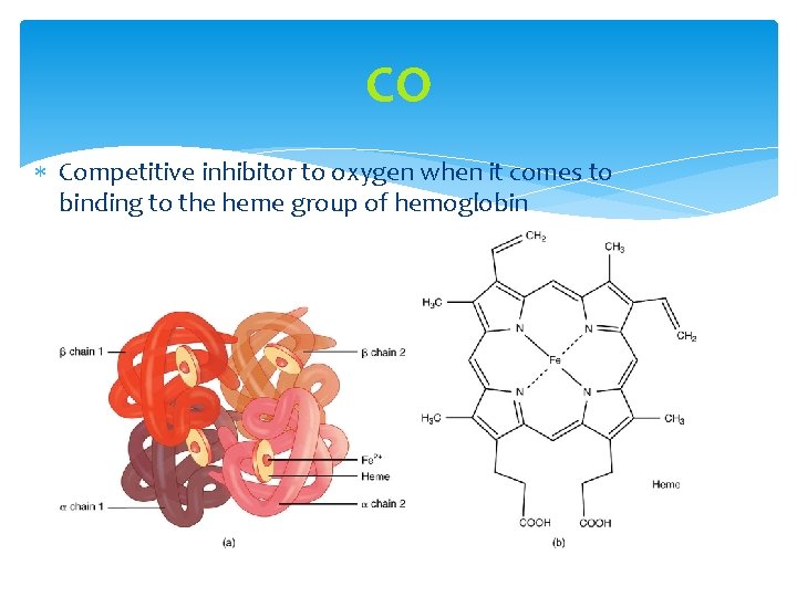 CO Competitive inhibitor to oxygen when it comes to binding to the heme group