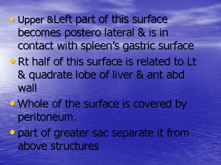  • Upper &Left part of this surface becomes postero lateral & is in