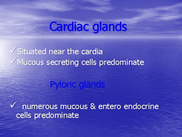 Cardiac glands üSituated near the cardia üMucous secreting cells predominate Pyloric glands ü numerous