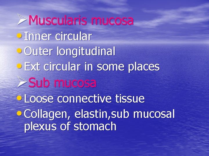 ØMuscularis mucosa • Inner circular • Outer longitudinal • Ext circular in some places