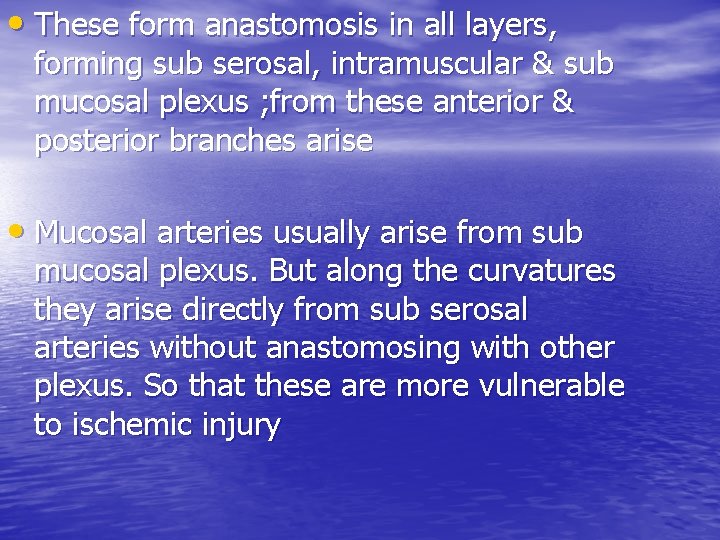  • These form anastomosis in all layers, forming sub serosal, intramuscular & sub
