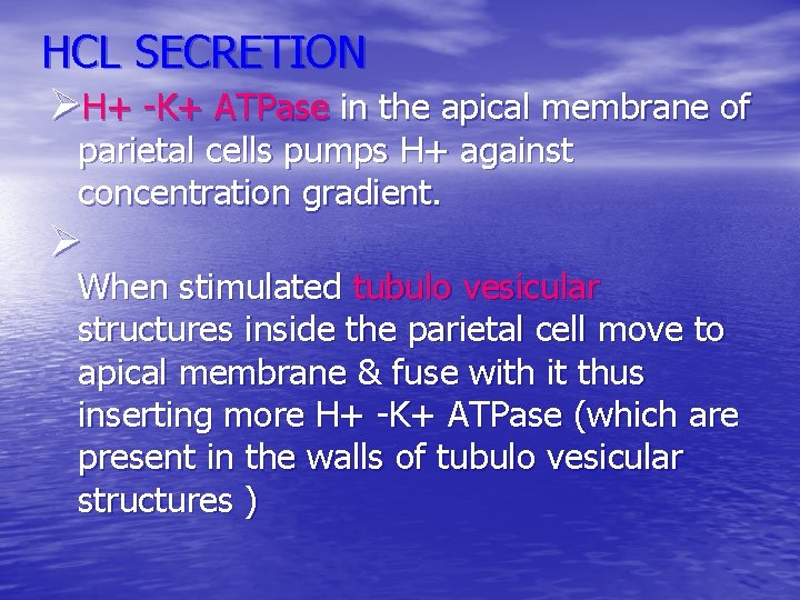 HCL SECRETION ØH+ -K+ ATPase in the apical membrane of parietal cells pumps H+