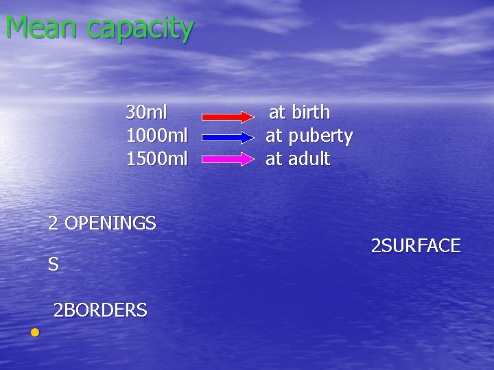 Mean capacity 30 ml 1000 ml 1500 ml 2 OPENINGS S • 2 BORDERS