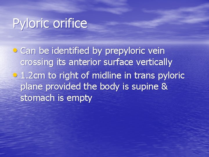 Pyloric orifice • Can be identified by prepyloric vein crossing its anterior surface vertically