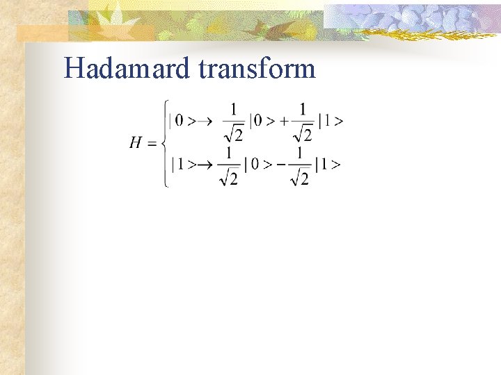Hadamard transform 