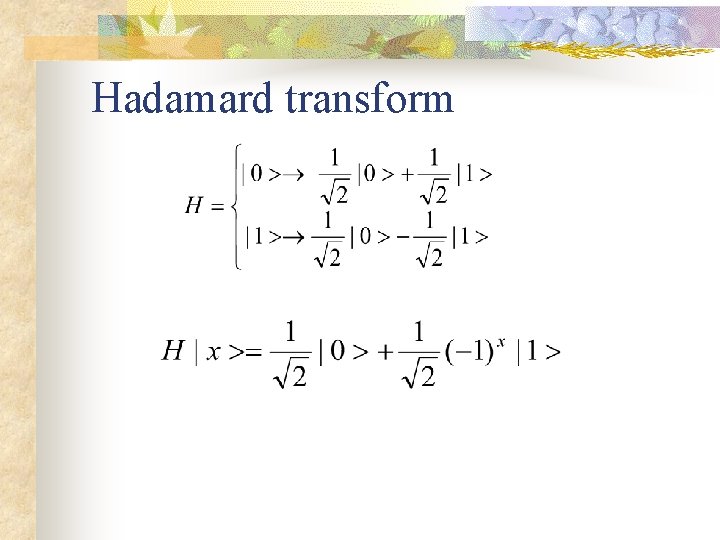 Hadamard transform 