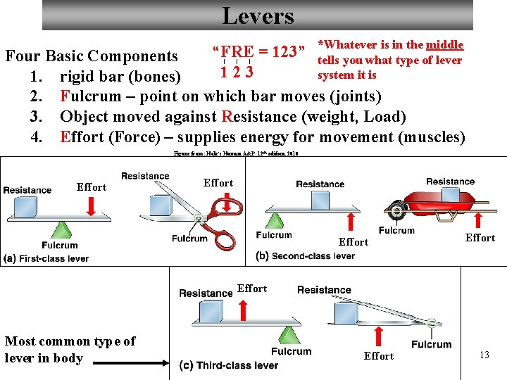 Levers *Whatever is in the middle “FRE = 123” Four Basic Components tells you