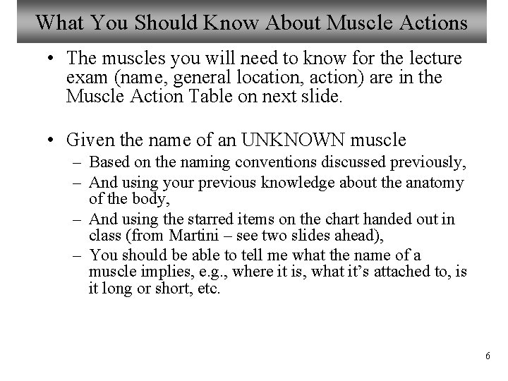 What You Should Know About Muscle Actions • The muscles you will need to